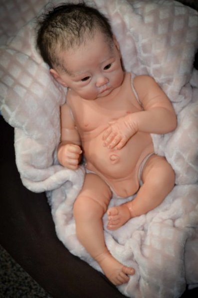 ellory reborn kit